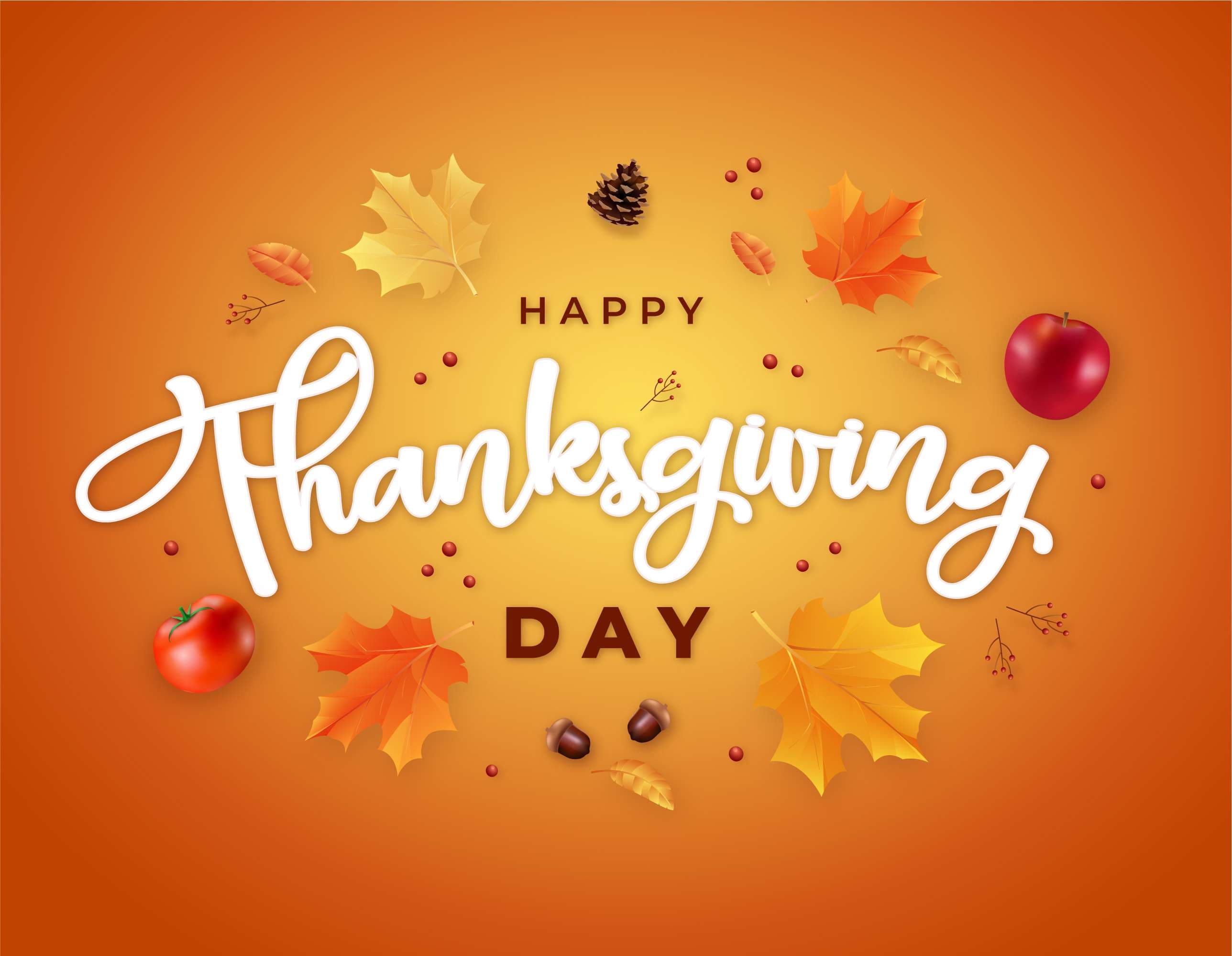 Thanksgiving 2024: The Ultimate Guide to a Delicious Feast with Aldi and DiGiorno